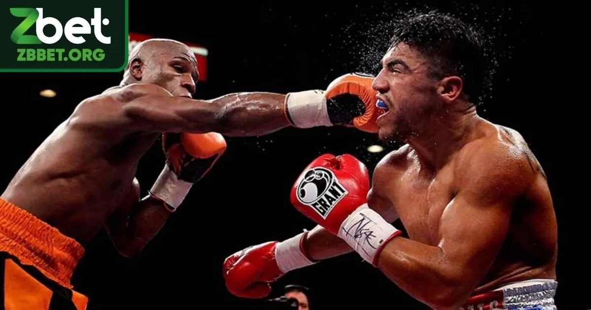 Cá cược MMA là gì?