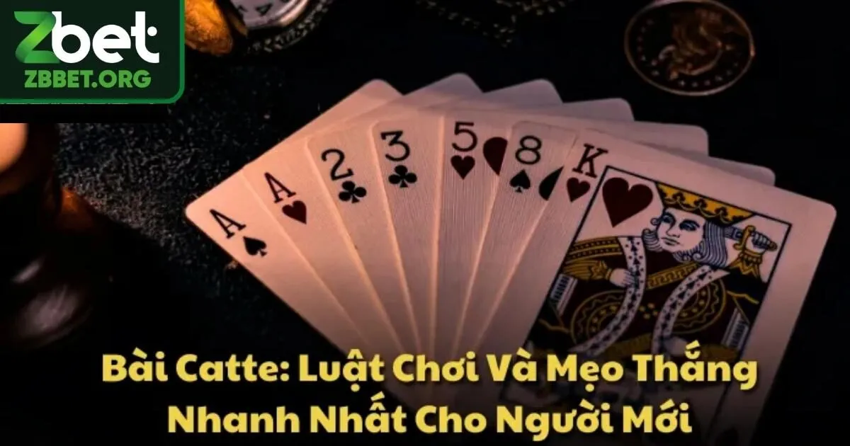 Game Bài Catte - Game Hay Dễ Hốt Thưởng Tại Nhà Cái Zbet